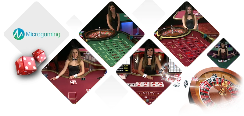 Why is Microgaming Loved?